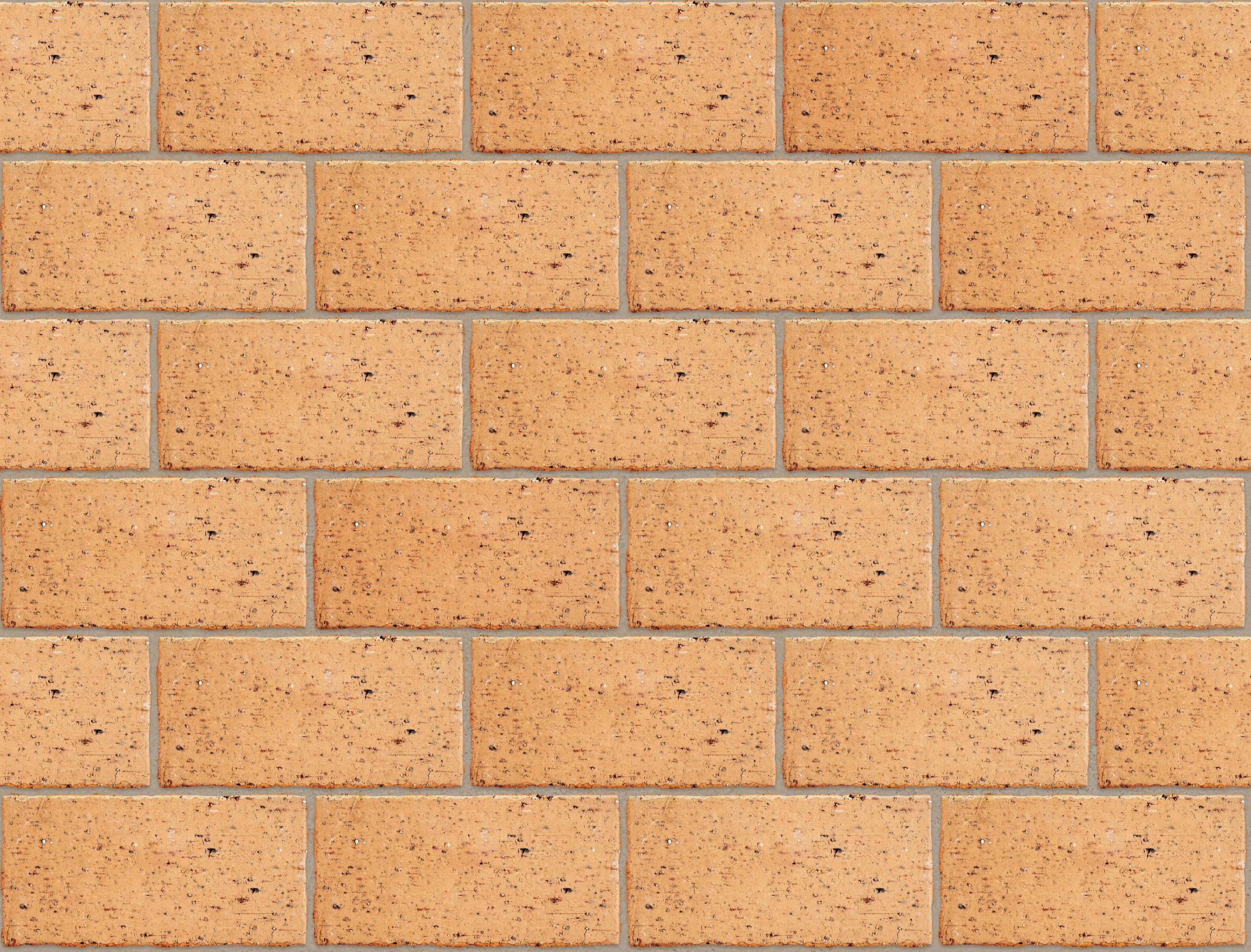 De Hoop Strand Modular 50mm thick - Image 5