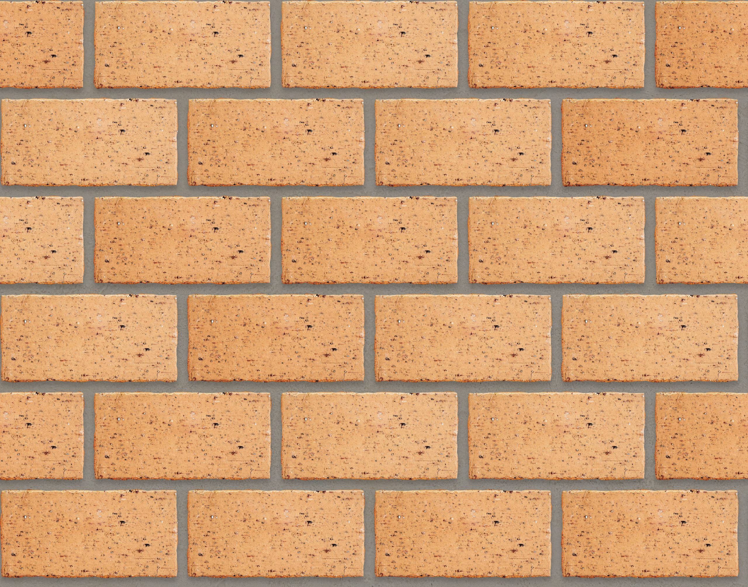 De Hoop Strand Modular 50mm thick - Image 4